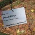 Geografisches Arboretum Rombergpark am 17,102018 (84)